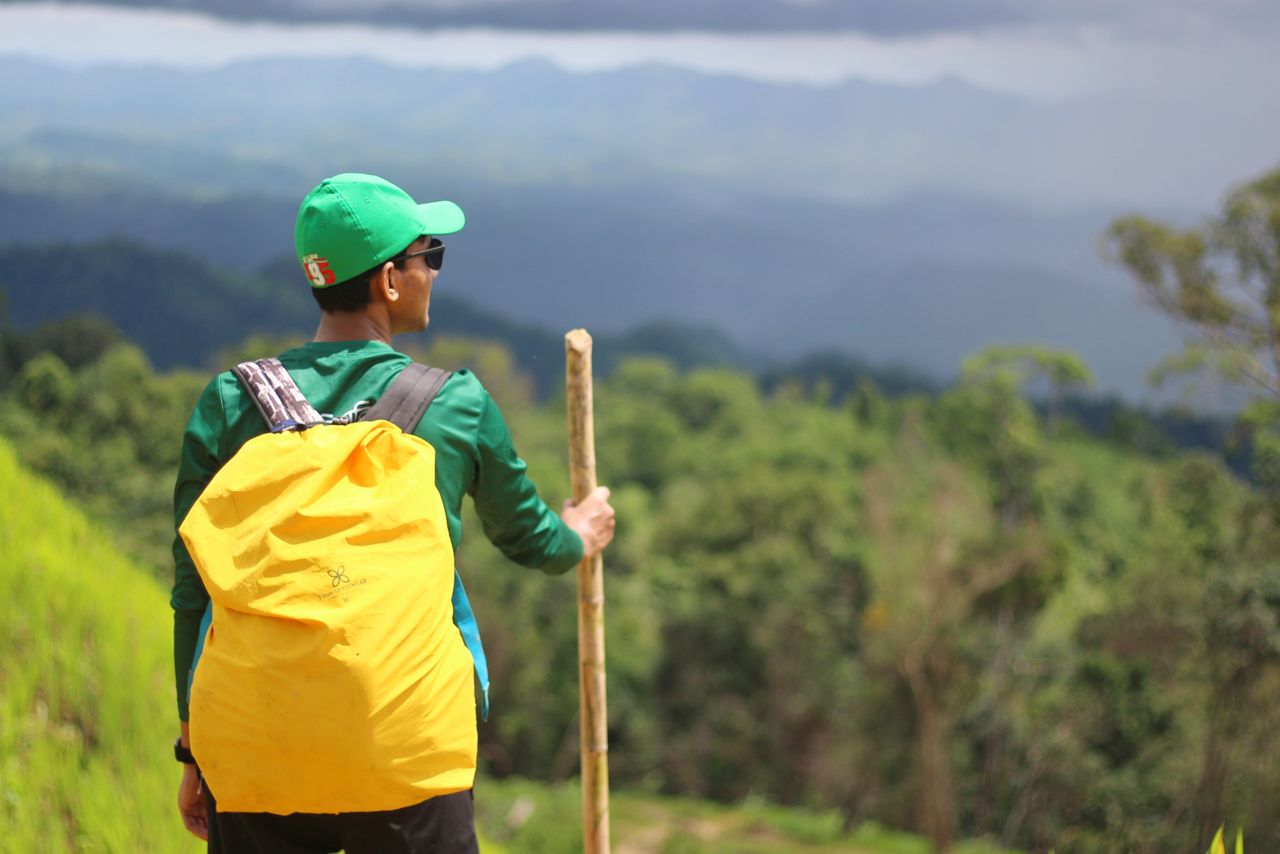 Back view of a man hiking in a dense green forest carrying a yellow backpack and staff.